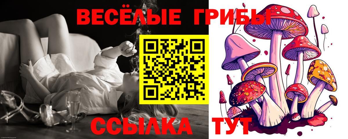 Черняховск  Галлюциногенные грибы мицелий  Вход с VPN  Галлюциногенные грибы прущие грибы 