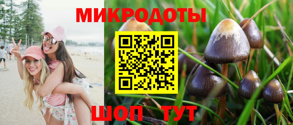 Псилоцибиновые грибы мухоморы Черняховск